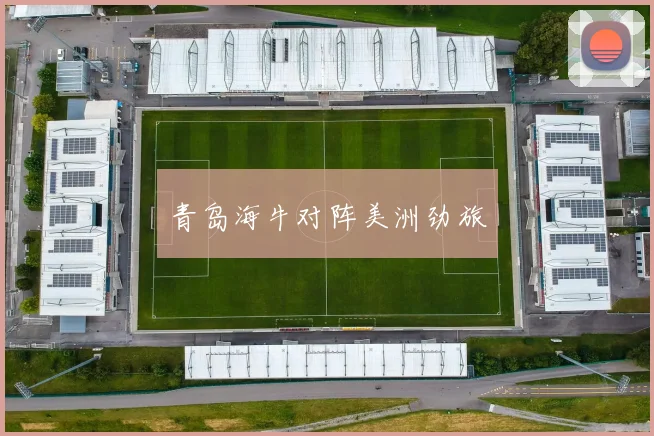 青岛海牛对阵美洲劲旅
