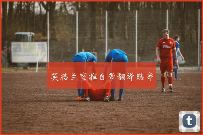 英格兰官推自带翻译赔率