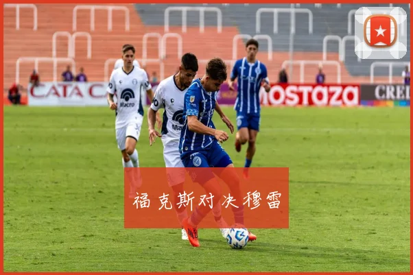福克斯对决穆雷