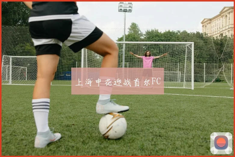 上海申花迎战首尔FC