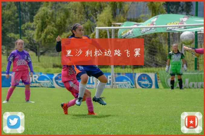 里沙利松边路飞翼