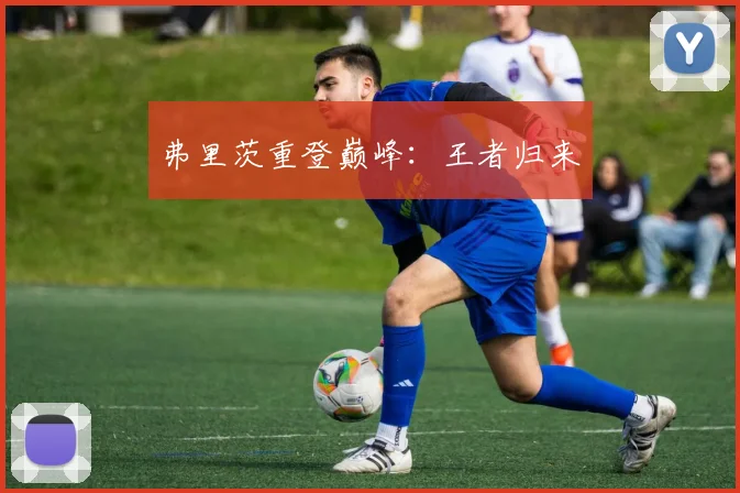 弗里茨重登巅峰：王者归来