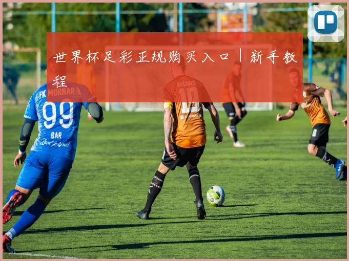 世界杯足彩正规购买入口｜新手教程