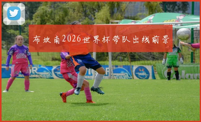 布坎南2026世界杯带队出线前景