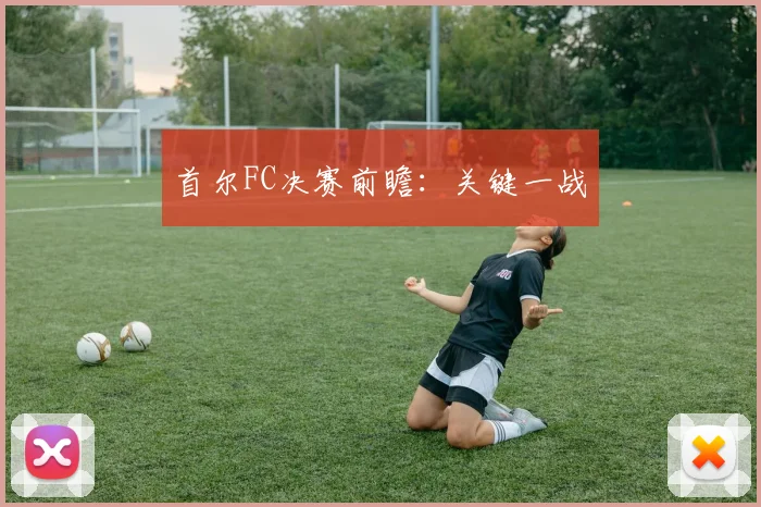 首尔FC决赛前瞻：关键一战