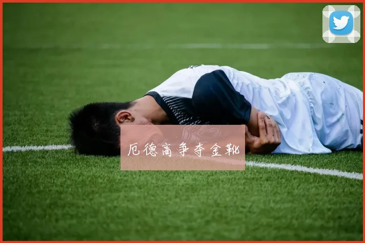 厄德高争夺金靴