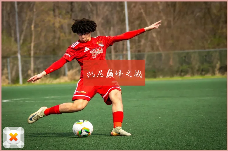 托尼巅峰之战