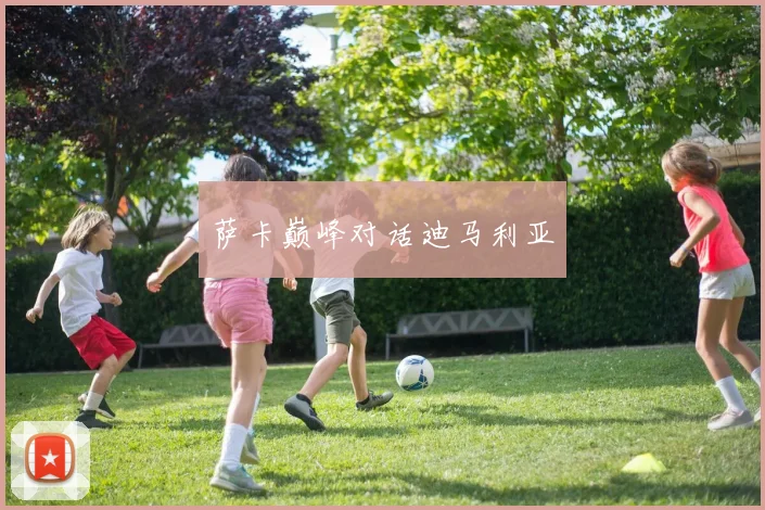 萨卡巅峰对话迪马利亚