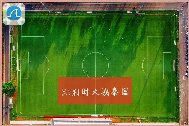比利时大战泰国