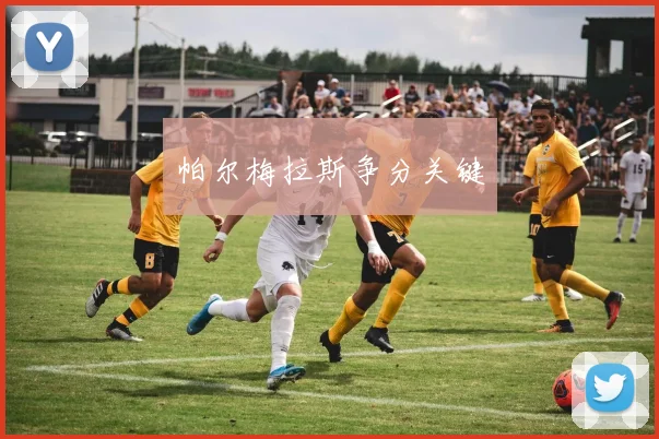 帕尔梅拉斯争分关键