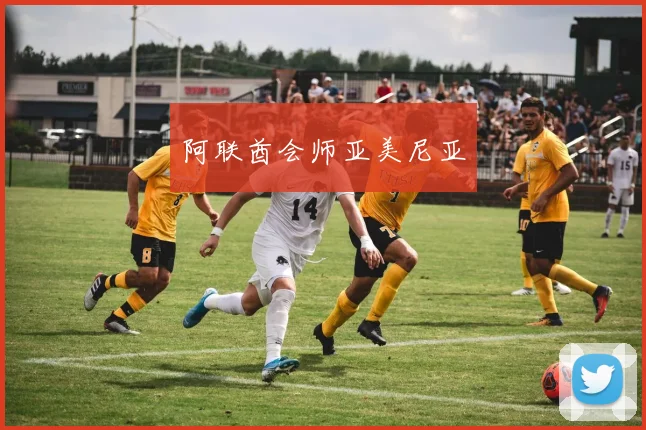 阿联酋会师亚美尼亚