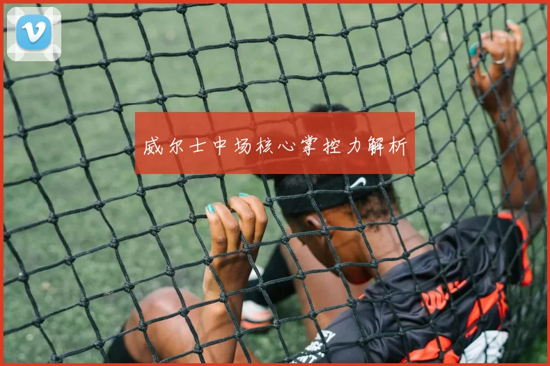 威尔士中场核心掌控力解析