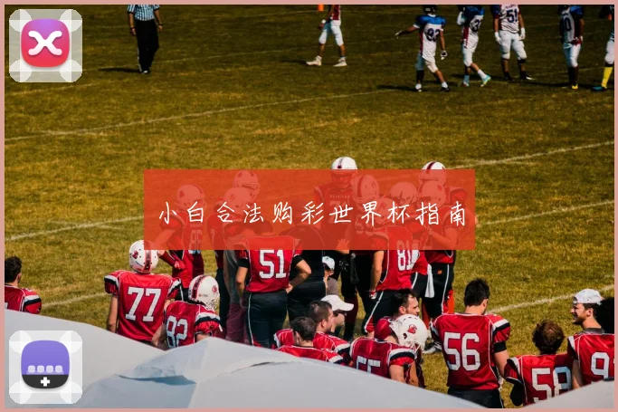 小白合法购彩世界杯指南