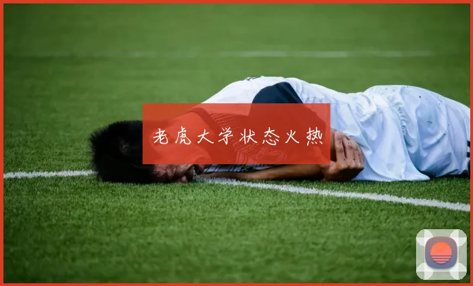 老虎大学状态火热