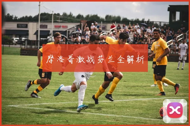摩洛哥激战芬兰全解析