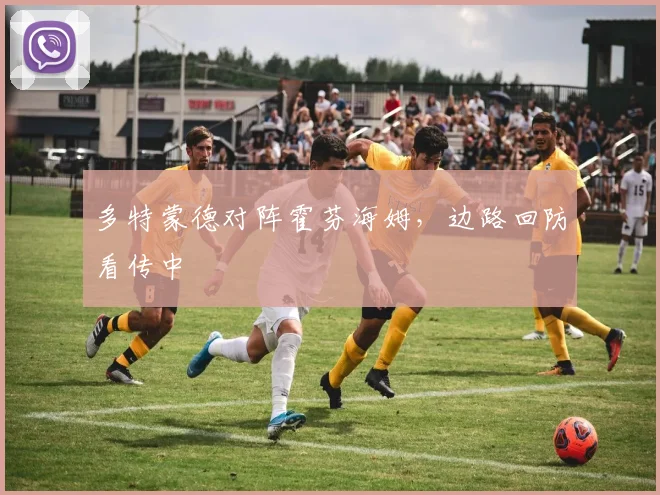 多特蒙德对阵霍芬海姆,边路回防看传中