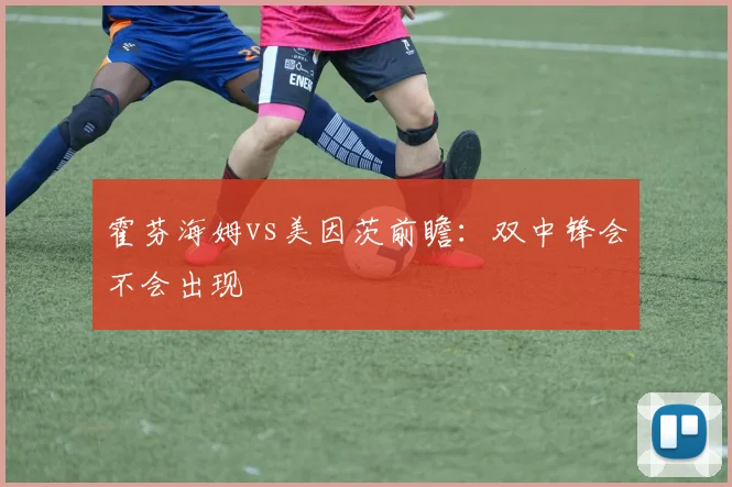 霍芬海姆vs美因茨前瞻：双中锋会不会出现
