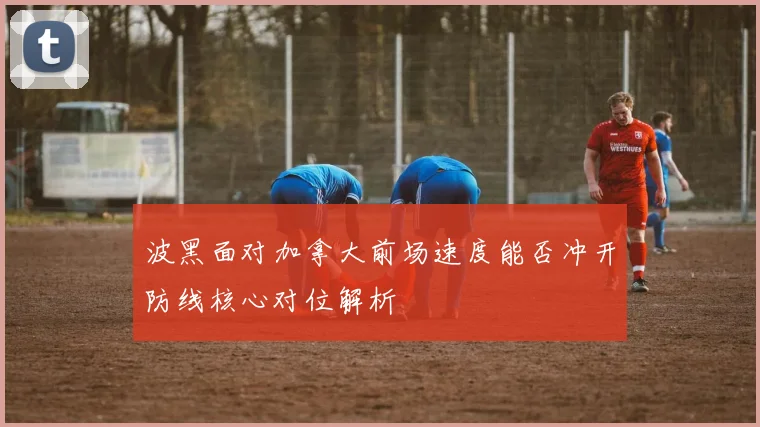 波黑面对加拿大前场速度能否冲开防线核心对位解析