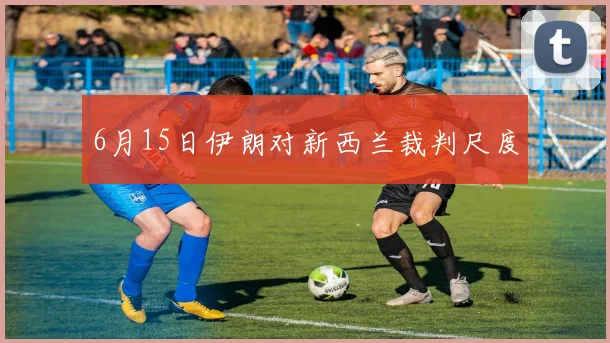 6月15日伊朗对新西兰裁判尺度