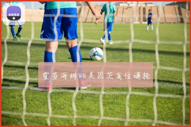 霍芬海姆vs美因茨高位逼抢