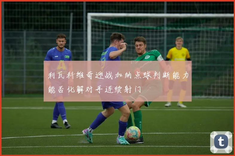 利瓦科维奇迎战加纳点球判断能力能否化解对手连续射门