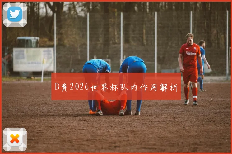 B费2026世界杯队内作用解析