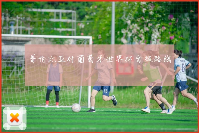 哥伦比亚对葡萄牙世界杯晋级路线