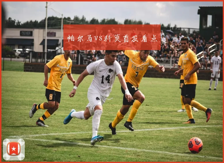 帕尔马vs科莫首发看点