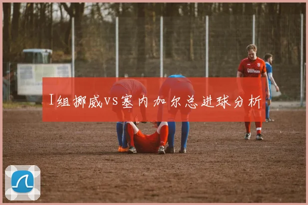 I组挪威vs塞内加尔总进球分析