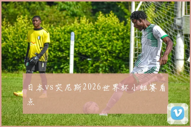 日本vs突尼斯2026世界杯小组赛看点